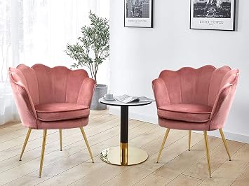 Modern Accent Chairs Set of 2 for Living Room Bedroom, Velvet Kitchen Dining Chairs with Gold Legs, Tufted Vanity Chair for Dressing Room, Blush Pink