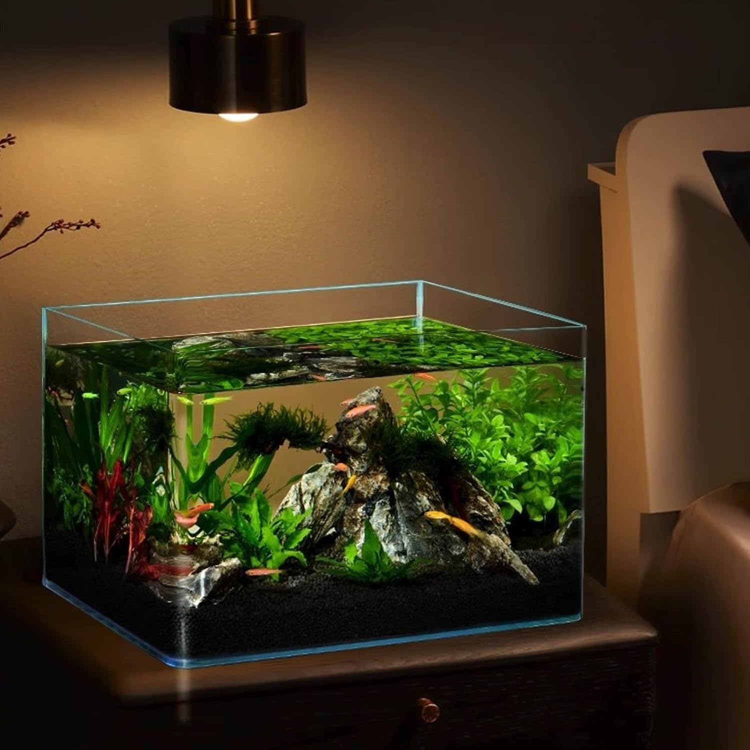 金魚鉢 四角い水槽 ガラス水槽 ガラス容器 メダカ 鉢大型 大容量 おしゃれ 水族館 室内アイテム 熱帯魚 金魚 観葉植物 植物栽培