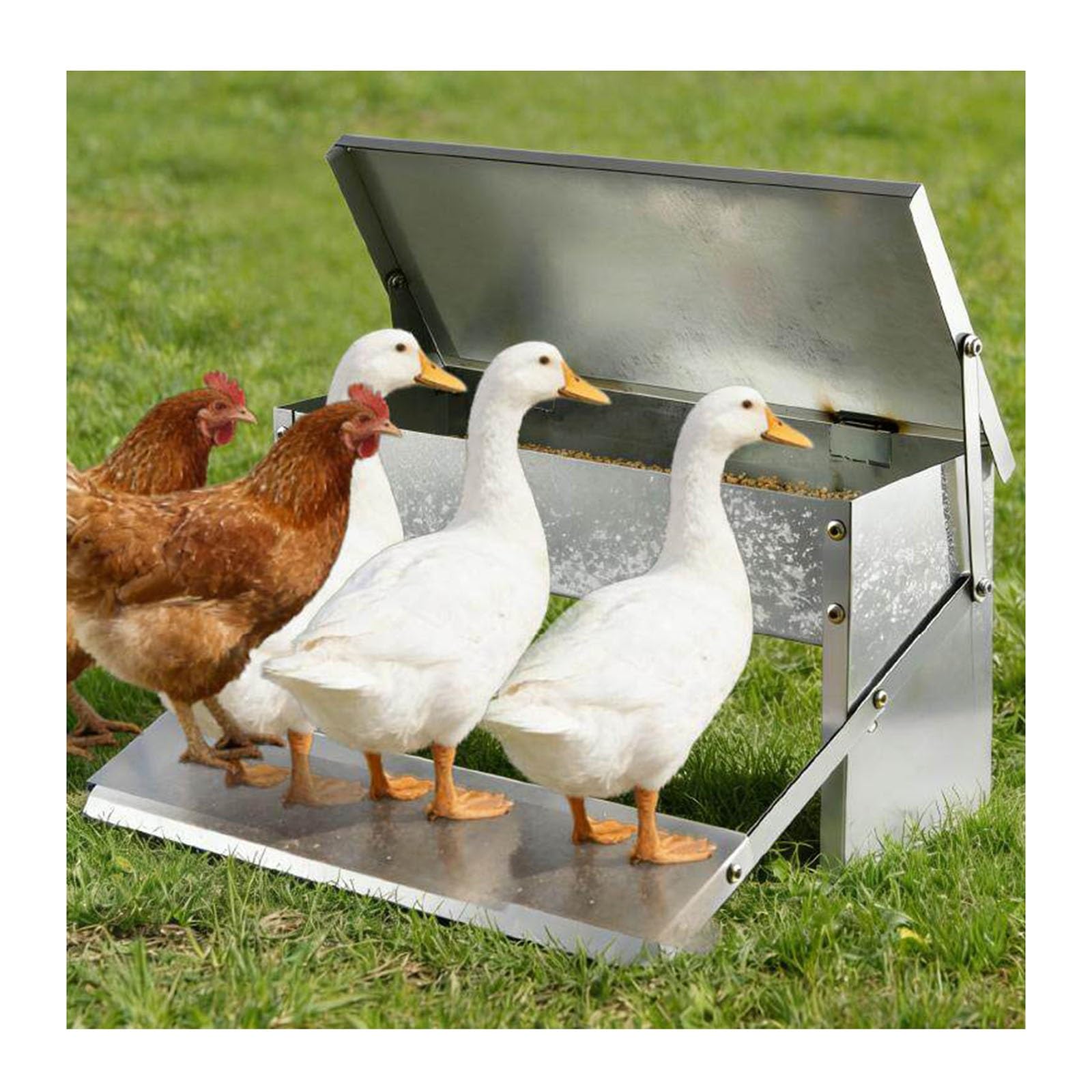 Comedero A Pedal Para Gallinas, Sin Desperdicio Y A Prueba De Roedores, Alimentación Automática Resistente A La Intemperie Para Gallinas Enanas Y Faisanes(95x17.5x17.5cm)