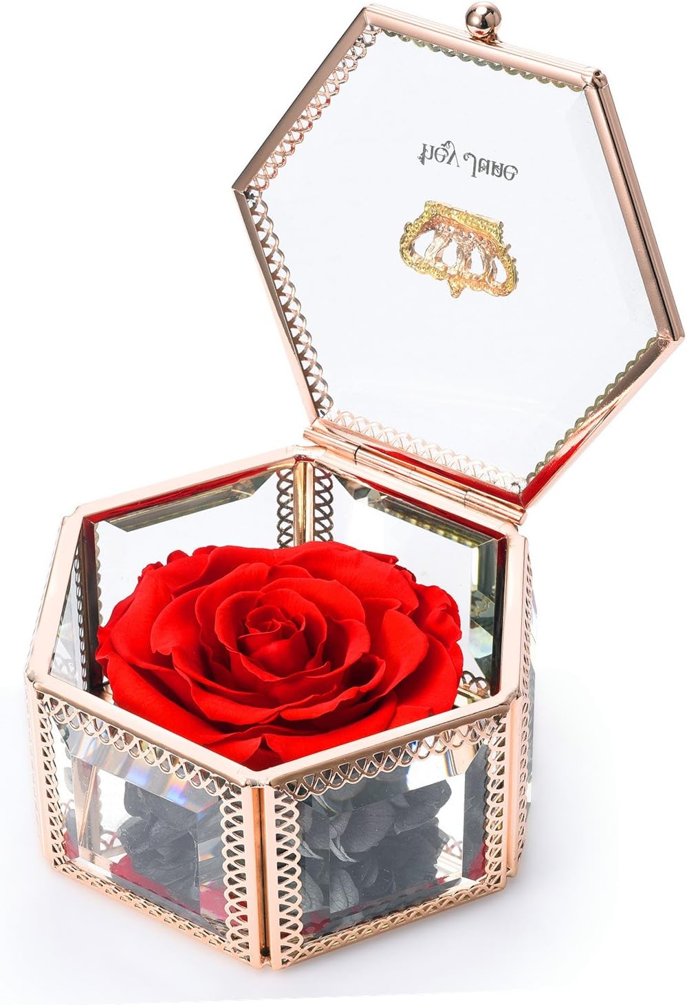 hey June for Women, Preserved Flower Rose, Unique Gifts, Mom Gifts, Best Gifts for Her on Valentine's Day, Mother's Day, Anniversary Birthday, (Red)