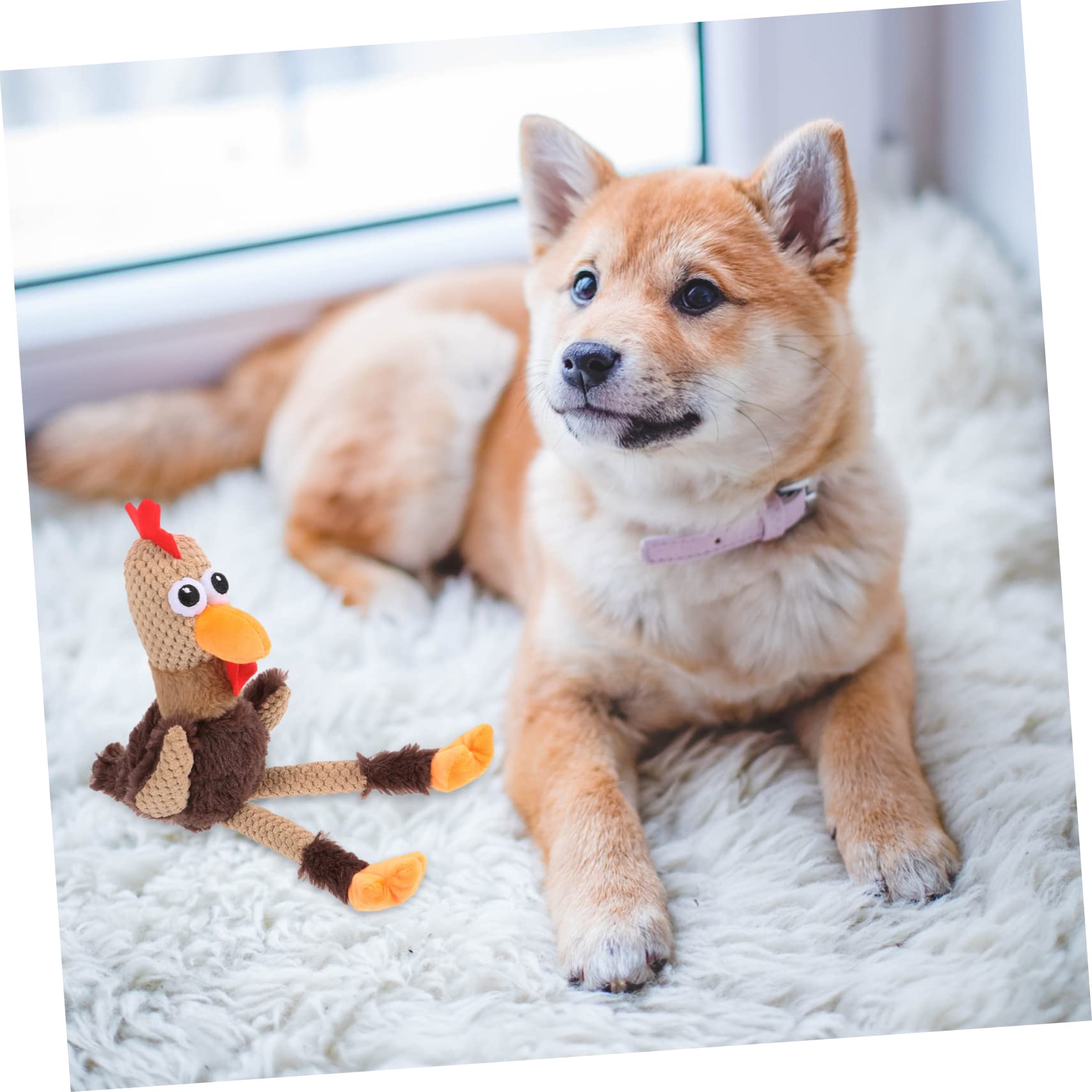 BESPORTBLE 3piezas Juguete Interactivo para Perros y Gatos Muñeco De De Peluche para Masticar y Limpiar Los Dientes Juguete para Mascotas Divertido y Saludable