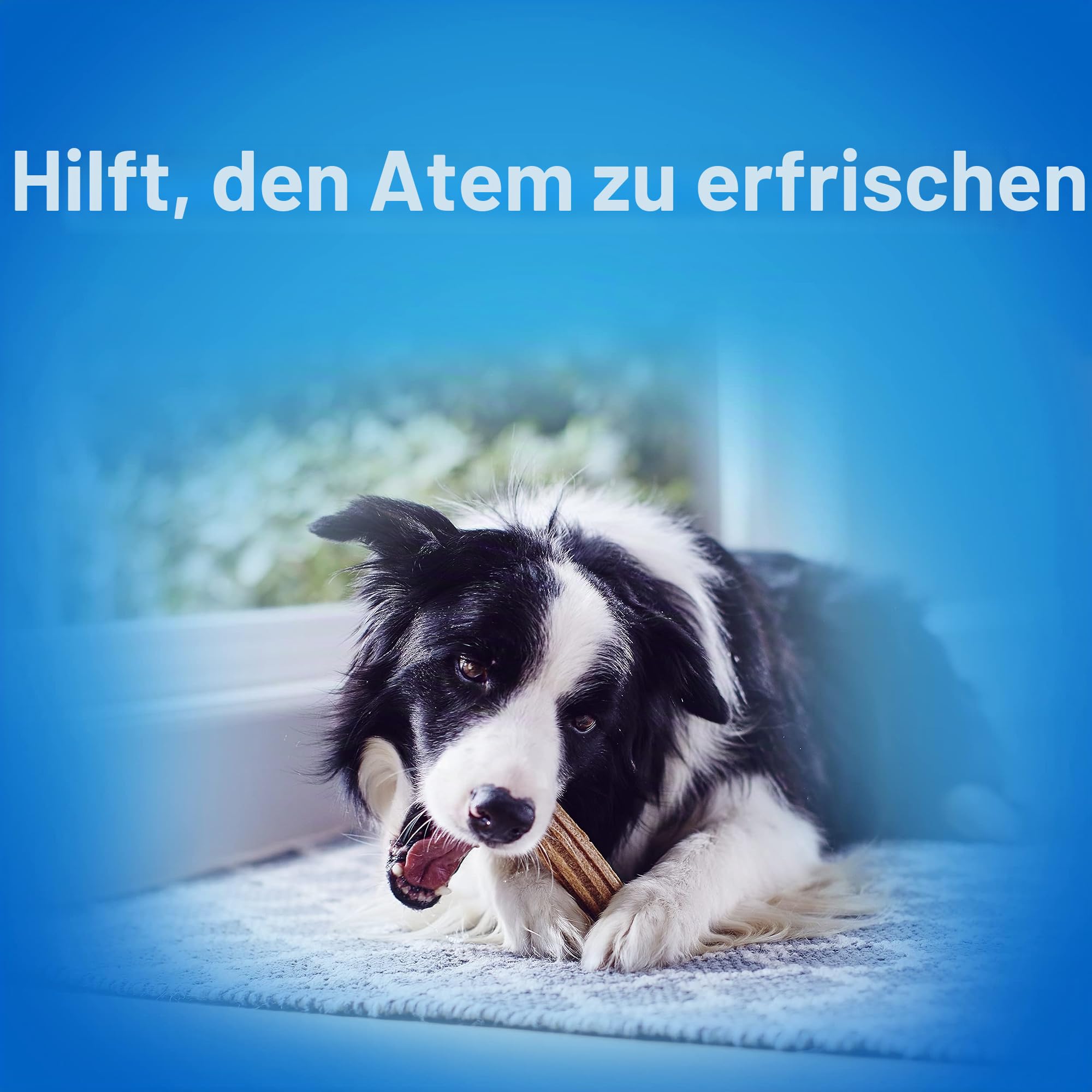 DENTALIFE Maxi – Multipack – 72 Kauknochen für große Hunde – 2 x 1272 g – Mundhygiene im Alltag