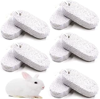 PINVNBY PIVBY Teeth Grinding Lava Bites Block Chew Treats Toys for Hamster Chinchilla Rabbit (Pack of 10)