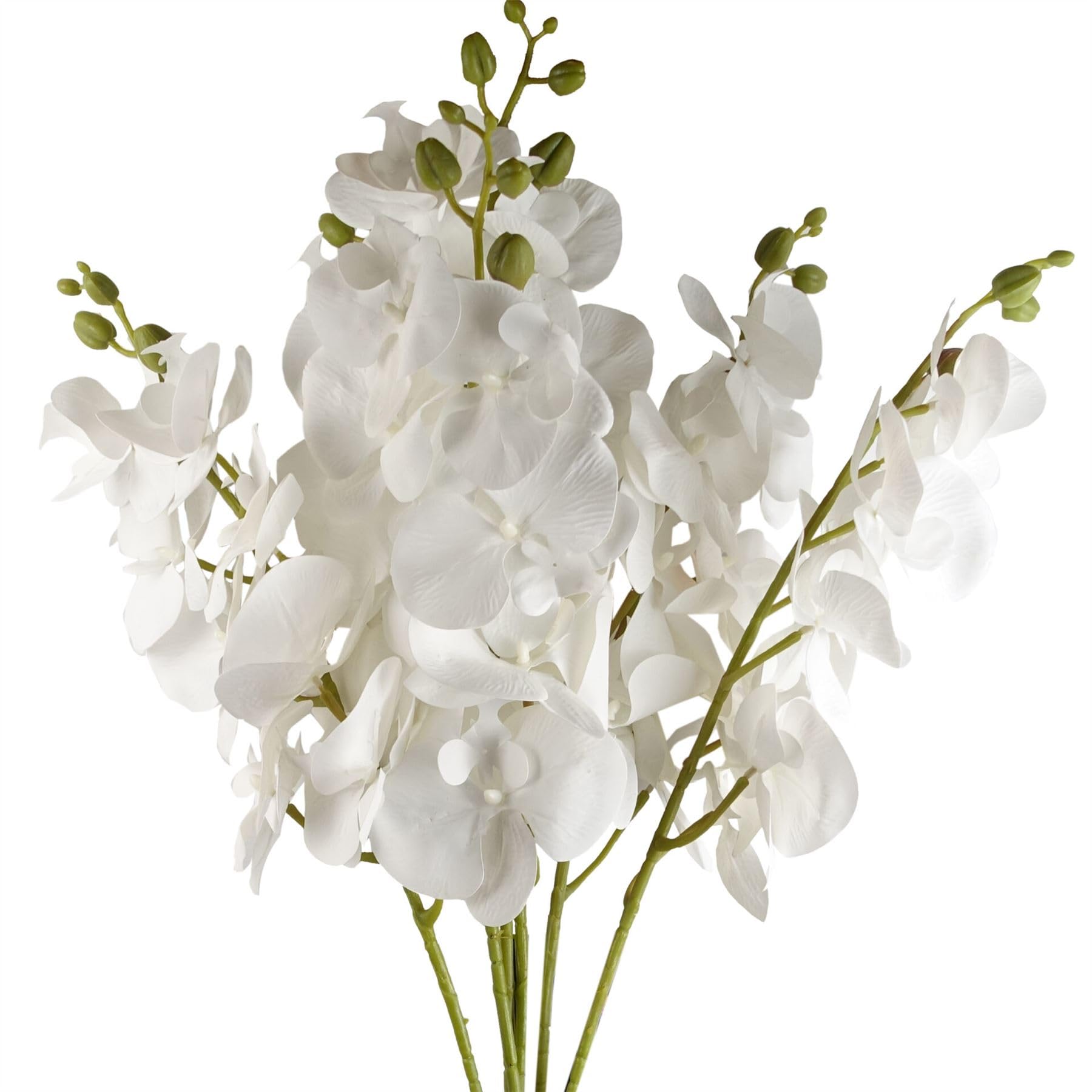 Leaf - Artificial Flower - Phalaenopsis Orchid - White - 6 Pack