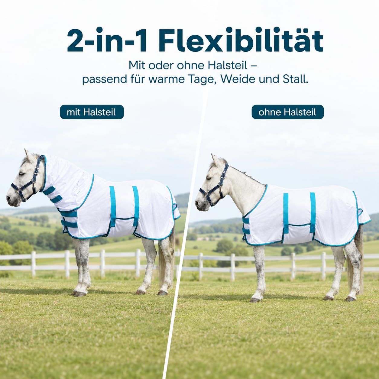 Leberna Shetty - Manta antimoscas con cuello y braga para el vientre, transpirable, con protección para el pecho, para pony, manta para eccemas para potros