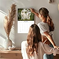 Vista 1360 de Razas de Perros 2017