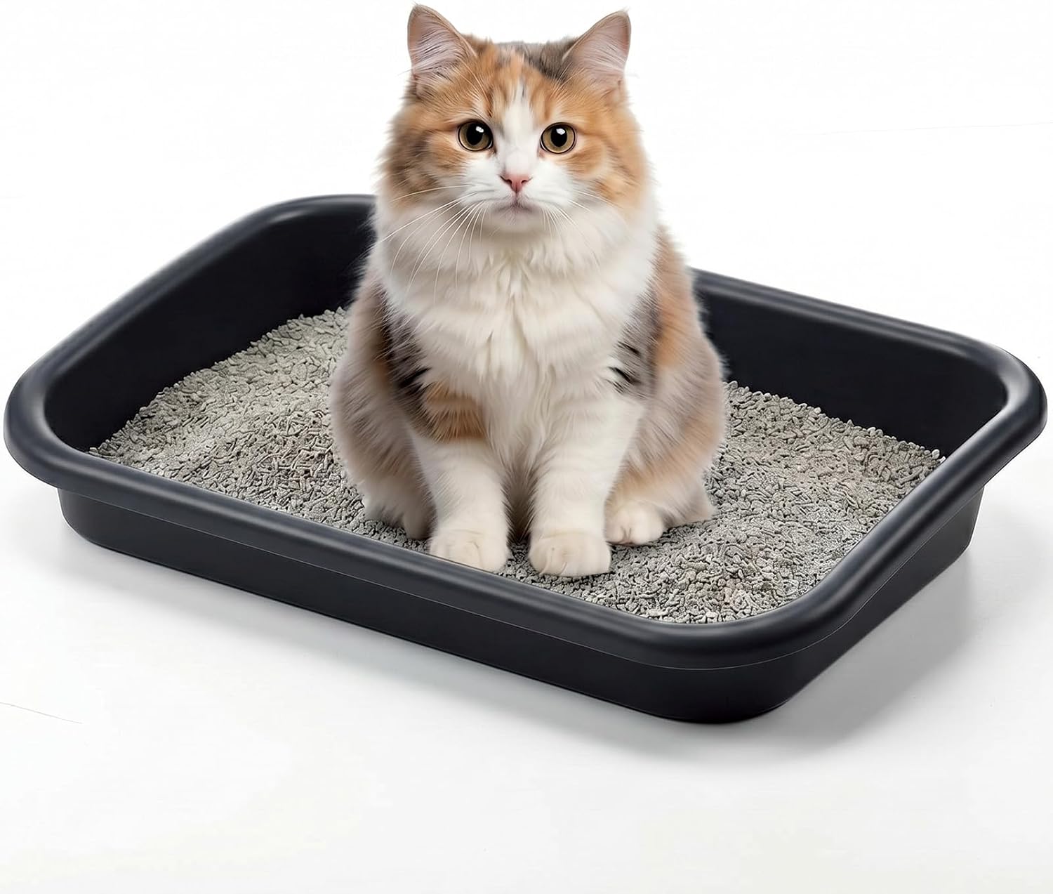 Uiifan 1 Pcs Low Entry Senior Cat Litter Box Pet Low Entry Litter Box for Senior Kitten Handicap Disabled Older Elderly Cats, Easy to Clean(Black Gray,16.9 x 12 x 3.15 Inch)