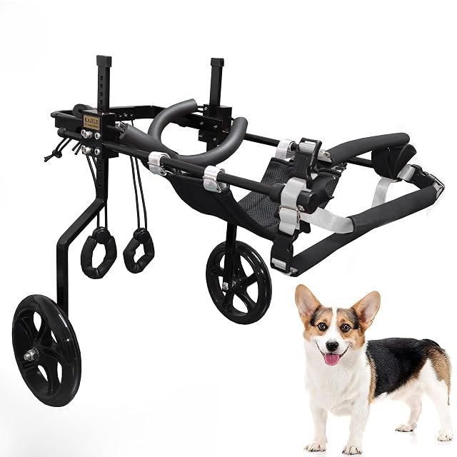 KAJILE Silla Ruedas Perros, Rehabilitación Patas Traseras,Negro,M-1