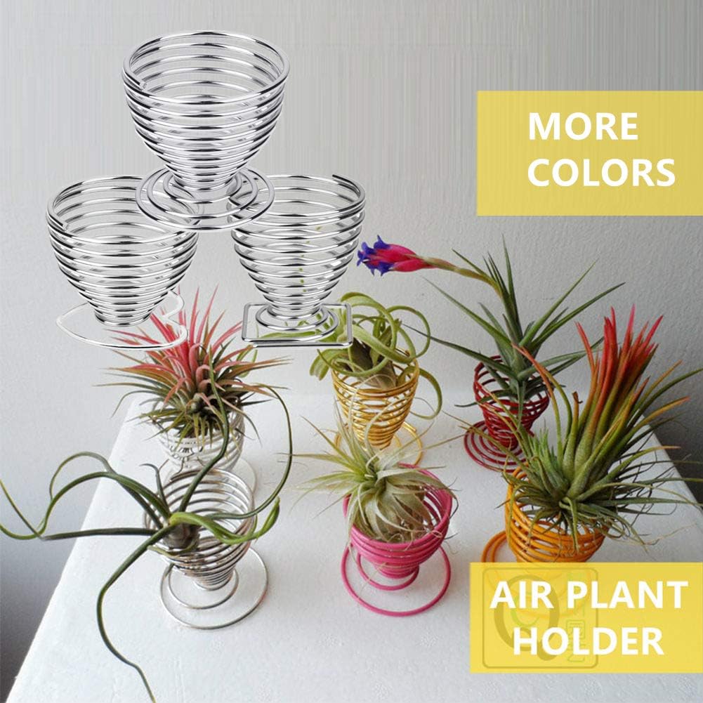Air Plant Holder Airplant Stand Fuego Planter Lonantha Tillandsia Plant Display Racks, Live Tropical House Plants for Home Decor-Indoor Air Plants-4Pack (Silver)