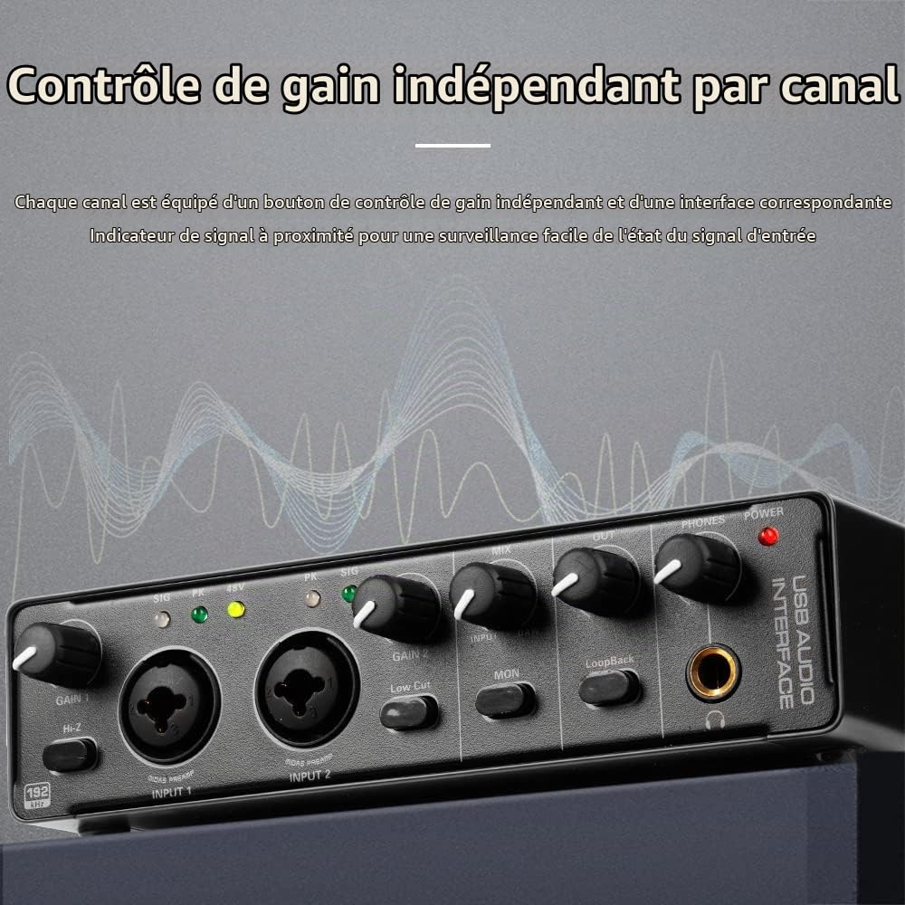 Depusheng RX2 USB interface audio ordinateur enregistrement carte son mélangeur audio, interface audio pour home studio, peut connecter un microphone à condensateur 48V, enregistrement de guitare