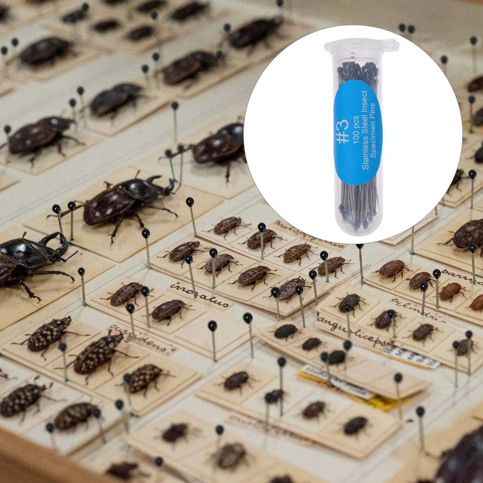 iplusmile 300 Stück Edelstahl Insekten Probe Entomologie Dissektion Schmetterling Sammlungen Nadeln für Die Schule 4X0. 08Cm