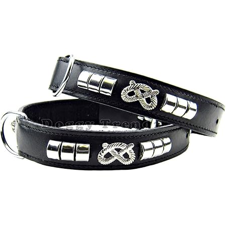 staffy collars amazon