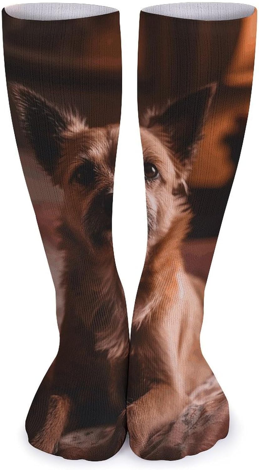 5 Pairs Knee High Socks Dog Bed Long Tube Boot Seamless Toe