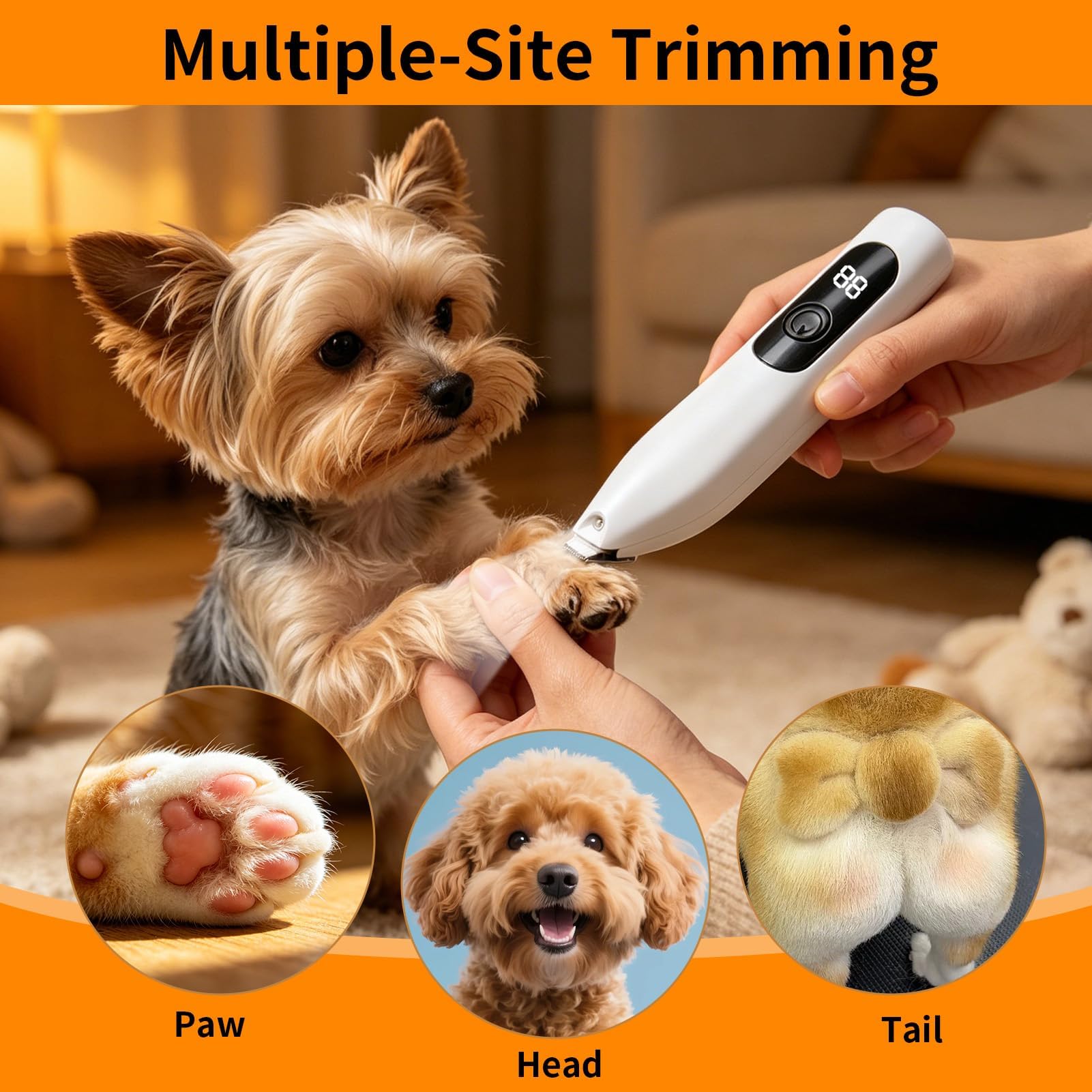 Tondeuse pour chat avec LED USB rechargeable, tondeuse chat silencieuse de précision pour pattes oreilles yeux visage, tondeuse animaux pour chien chat poils longs