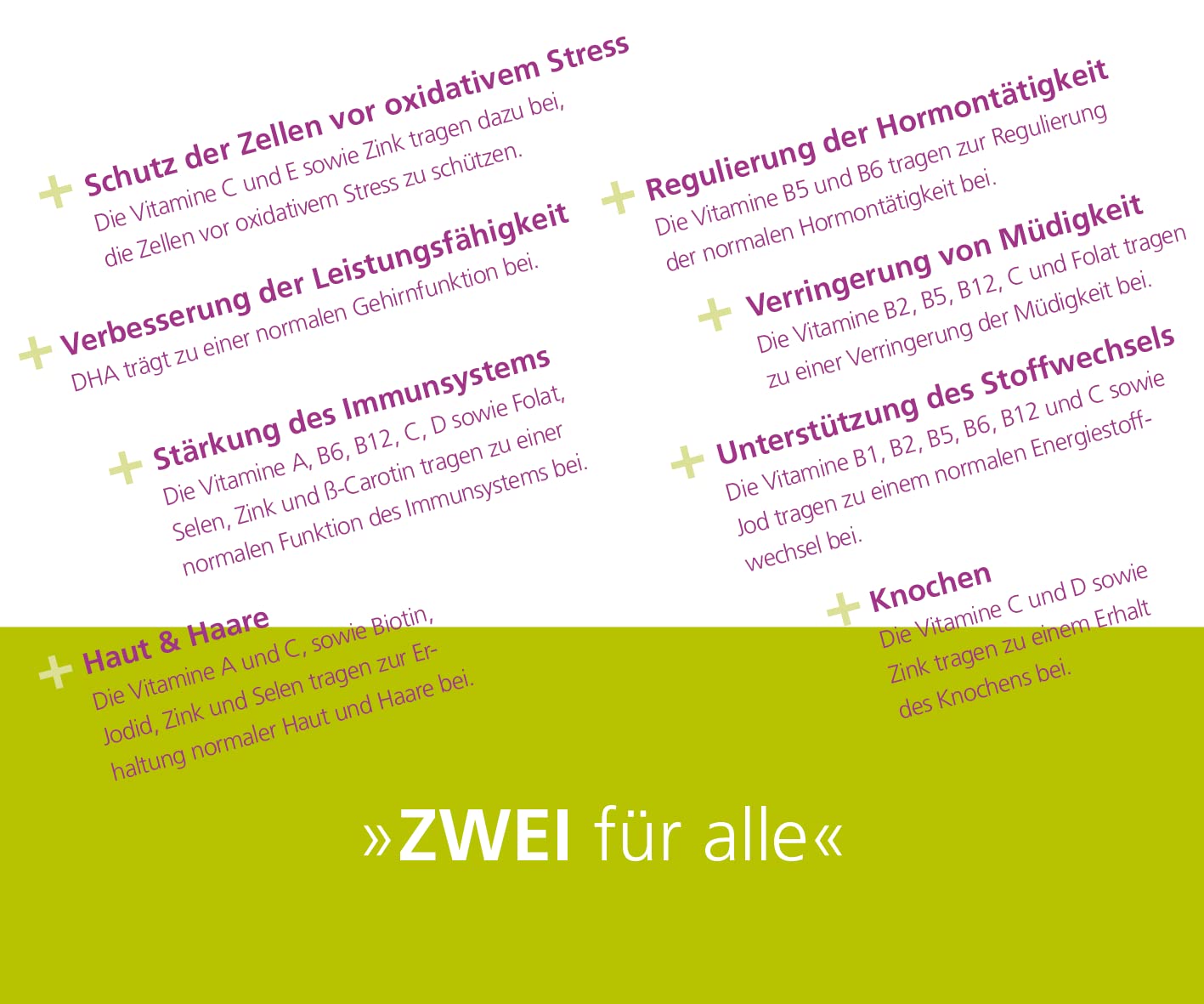 Vitamine für Frauen - Algen-DHA, Ginkgo Biloba, Lycopin & Ratgeber Wechseljahre von Prof. Bühling - Quartalspackung