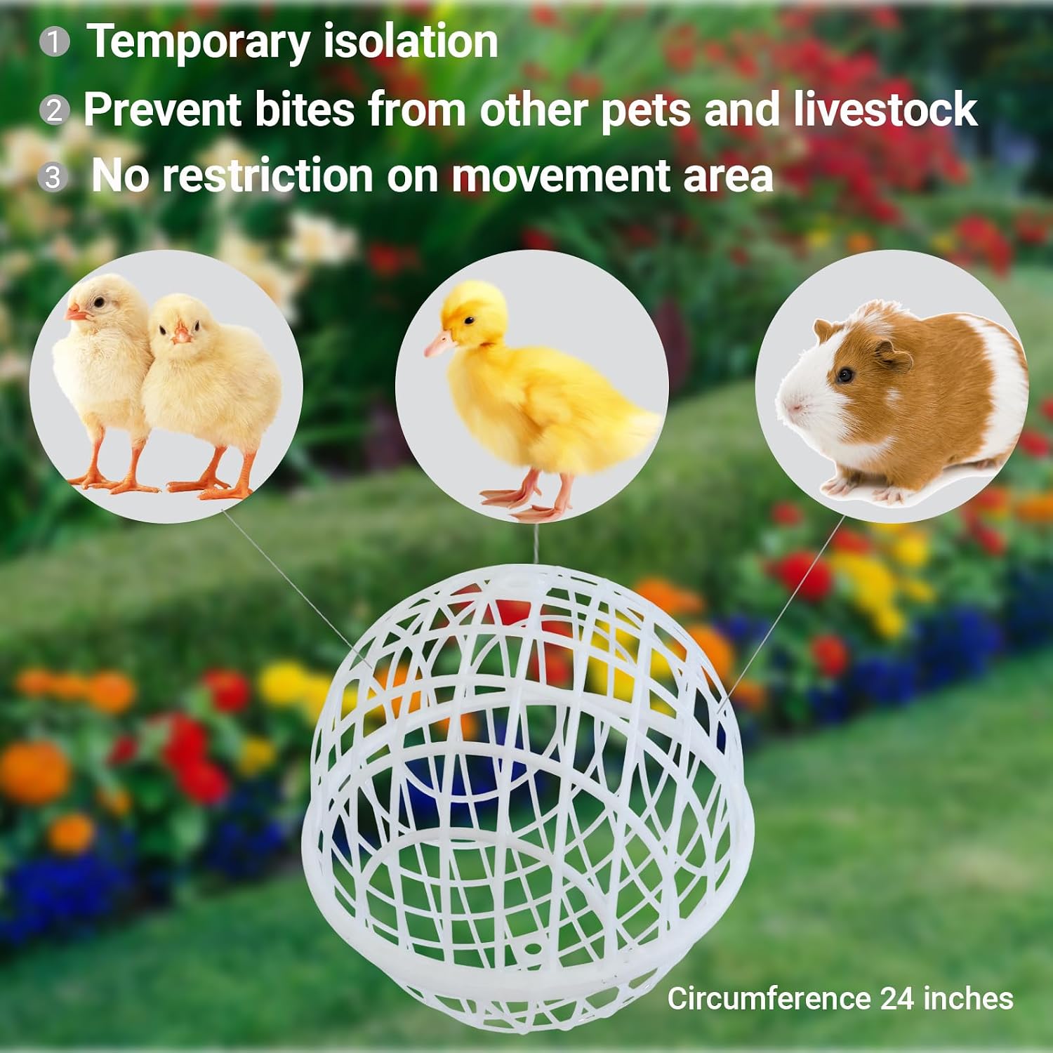 7.8" Ball-Shaped Movable Pigeon Chick Coop, Little Rabbit Duck Guinea Pig Safe Walking Net,Preventing Dog Bites, Predation by Eagles Wolves Cats Eagles, Pet Safety Cage