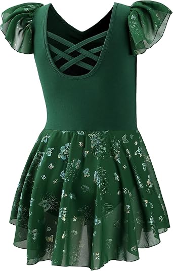 DIPUG Ballet Leotards for Girls with Skirt Shiny Toddler Dance Leotard Butterfly