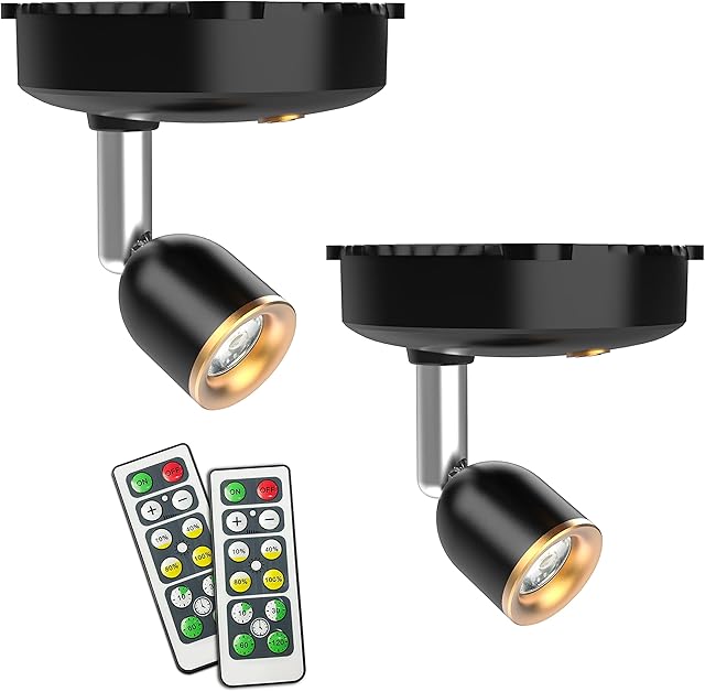 Shineled Battery Spotlights Indoor, Battery Powered Spotlight, Battery Spot Lights Indoor, 2 Pack Wireless Wall Lights with Remote Control Dimmer Timer for Painting Picture Art Display Warm White