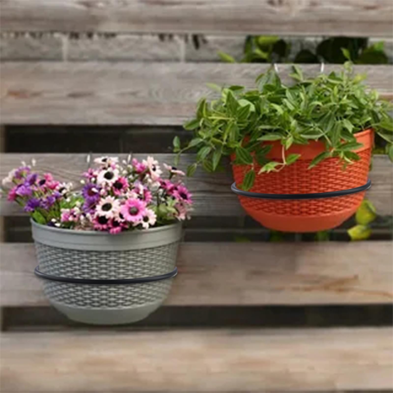 Lot de 8 Supports Muraux pour Pot de Fleurs, Pot de Fleur Anneau Titulaire Pliable, avec Vis, pour Jardins Intérieurs, Couloirs, Verdure Intérieure, 15 cm, Noir
