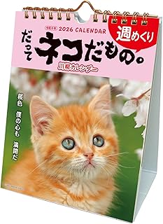 アクティブコーポレーション 2026 カレンダー 卓上 だってネコだもの。 26ACL-567 2026年 1月始まり