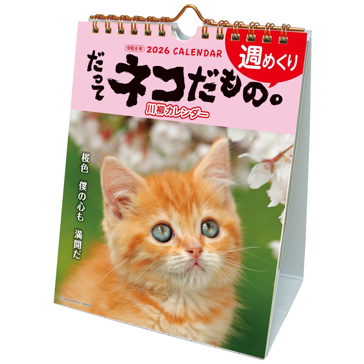 Amazon | アクティブコーポレーション 2026 カレンダー 卓上 だって