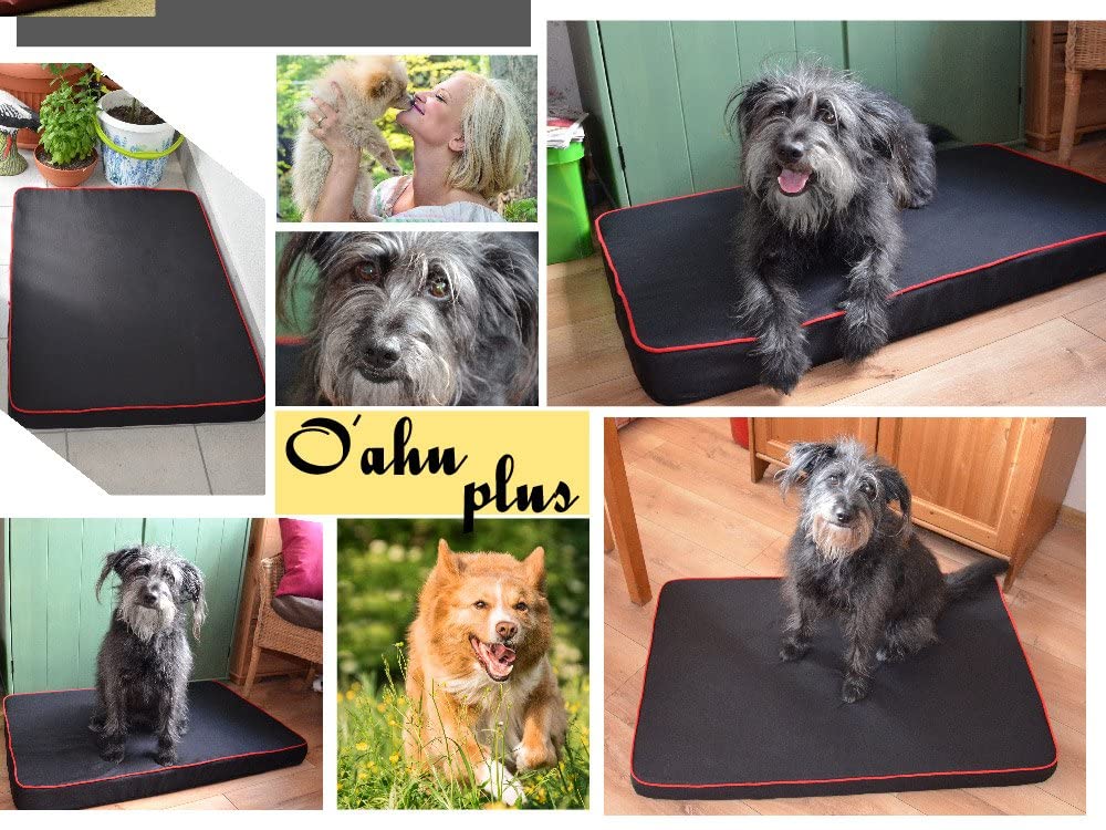 FORTISLINE Hundematte Hundebett OAHU Plus 2 Größen 4 Farben (XL - 120x80x8cm, Orange)