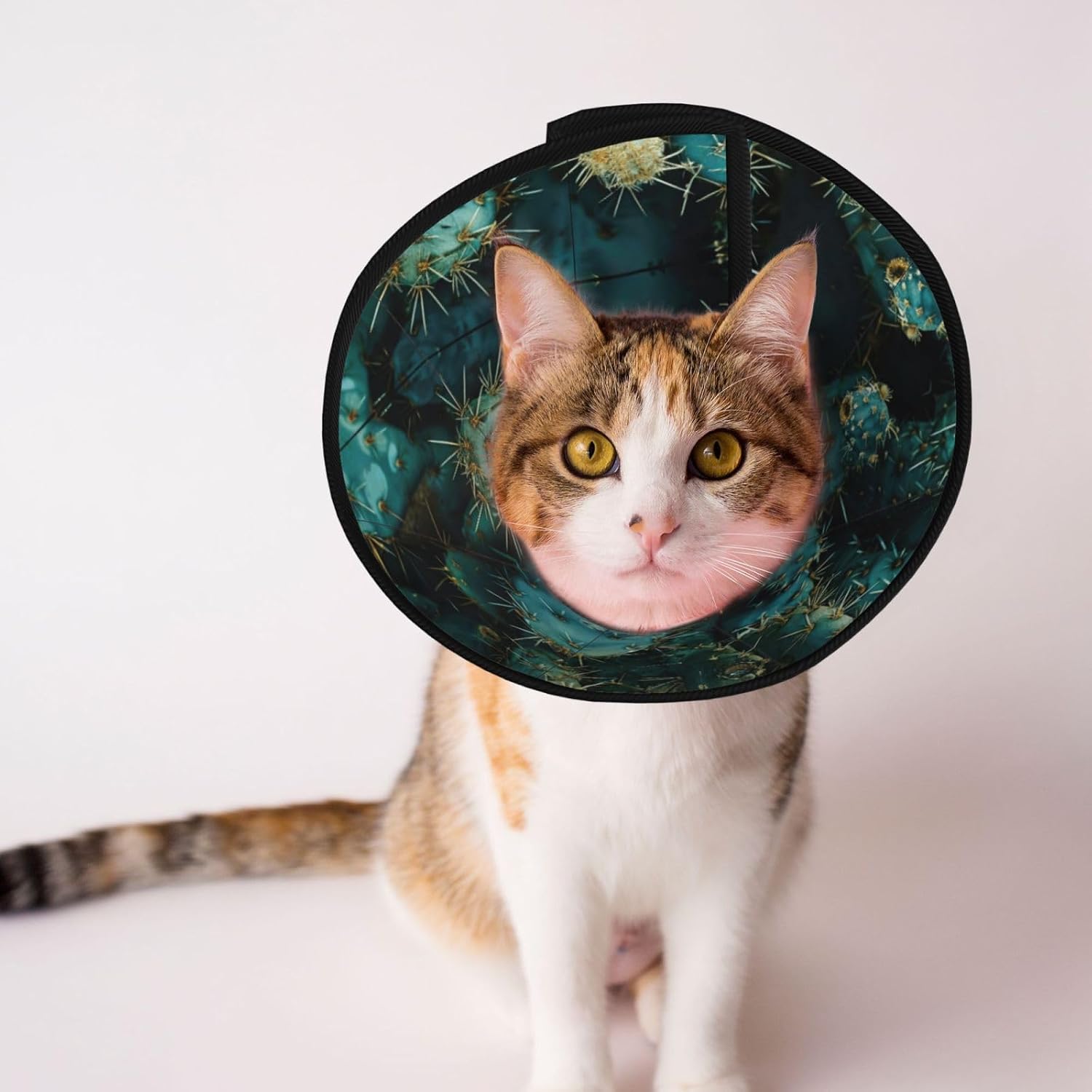 Cactus Print Cat Cone Collar, Adjustable Elizabethan Collar, Soft Dog Recovery Collars, for Small Large Cats