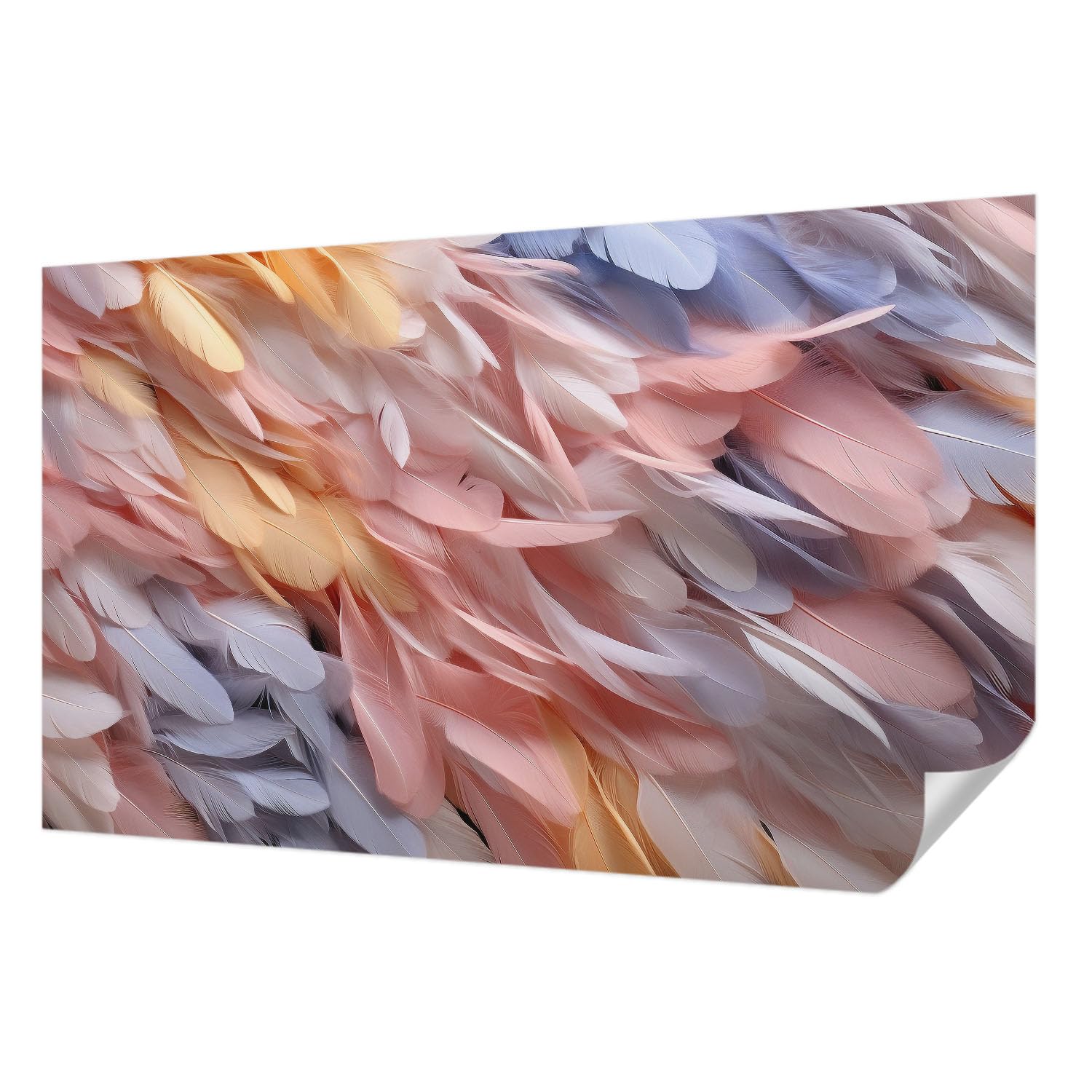 Papier peint photo autocollant plumes pastel 416x254 cm pour salon