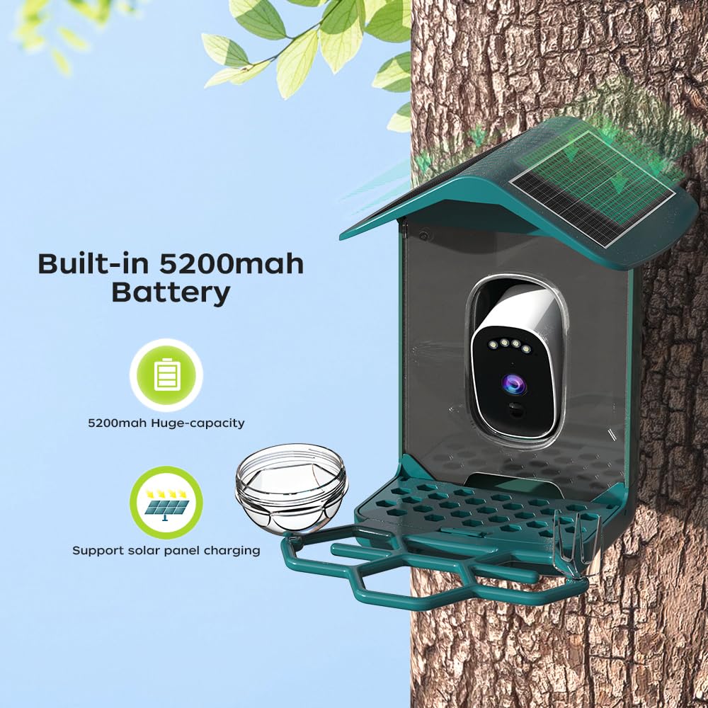 JOOAN 5MP Smartes Vogelfutterhaus mit Kamera 5200mah solarbetrieben IP66