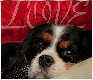 CafePress Cavalier King Charles Spaniel Love Throw Blanket Super Soft Fleece Plush Throw Blanket, 60"x50"