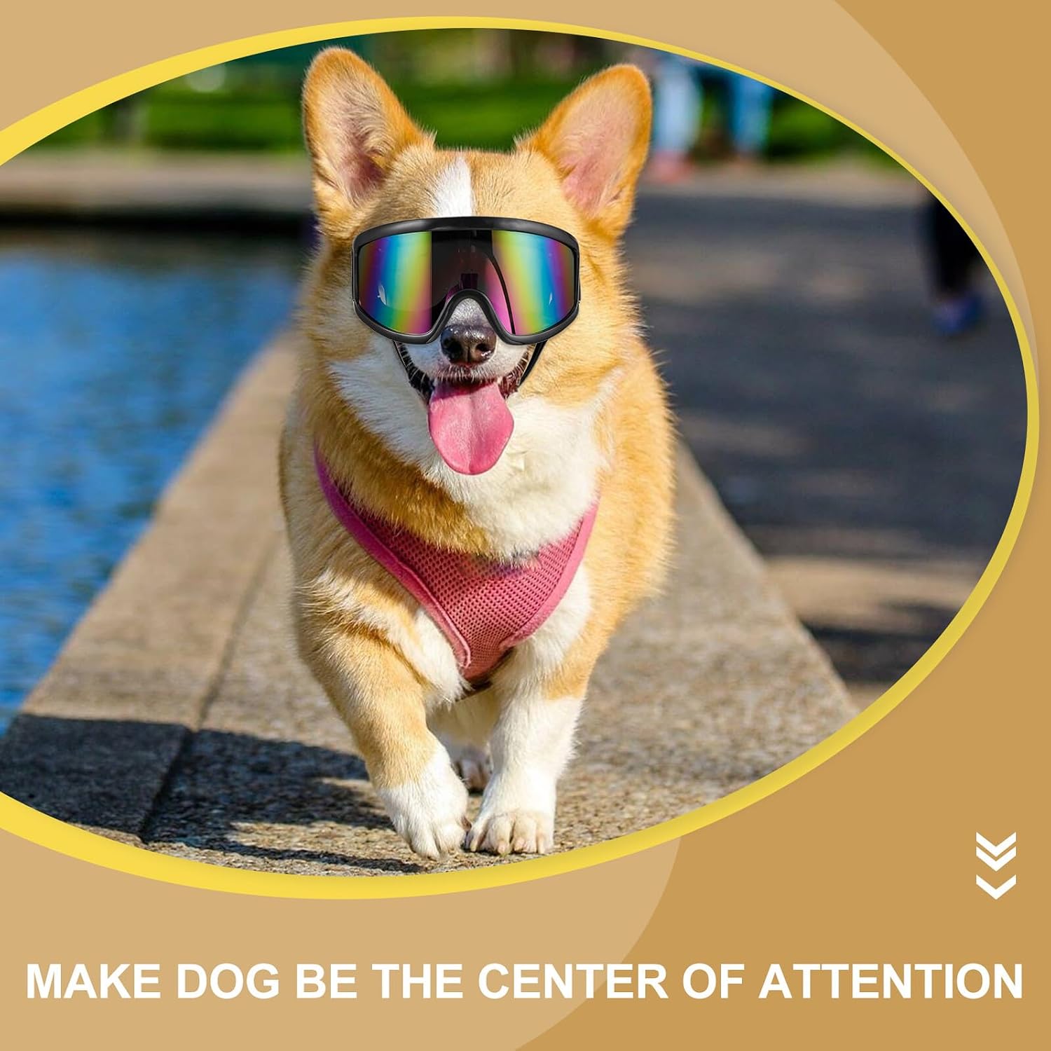 NUOBESTY Pet Dog Sunglasses Windproof UV Protection Adjustable Strap Small Breed Goggles for Cats and Dogs Outdoor Eyewear