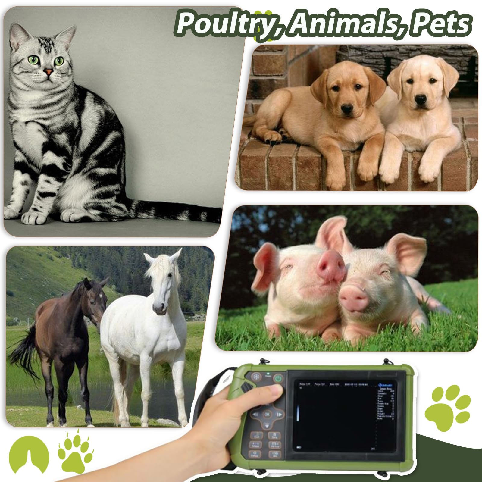échographe Vétérinaire Professionnel avec Sonde Convexe 3,5 MHz pour Le Diagnostic Les Animaux (Moutons, Chiens, Chats et Porcs)
