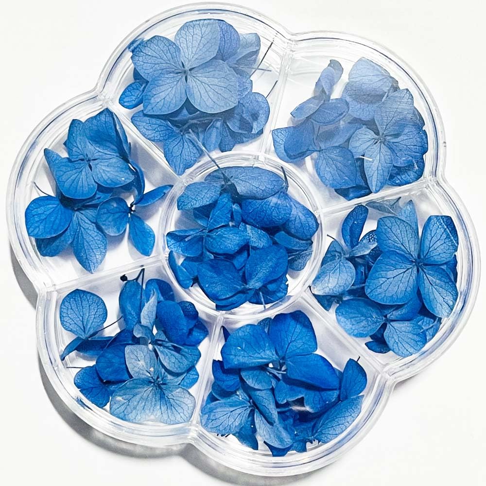 tamilnadushopping.com TamilnaduShopping Preserved Colombian Hydrangea Real Natural Dried Flowers Nail Decoration(50 pic) (50, Dark Blue)-picture-10