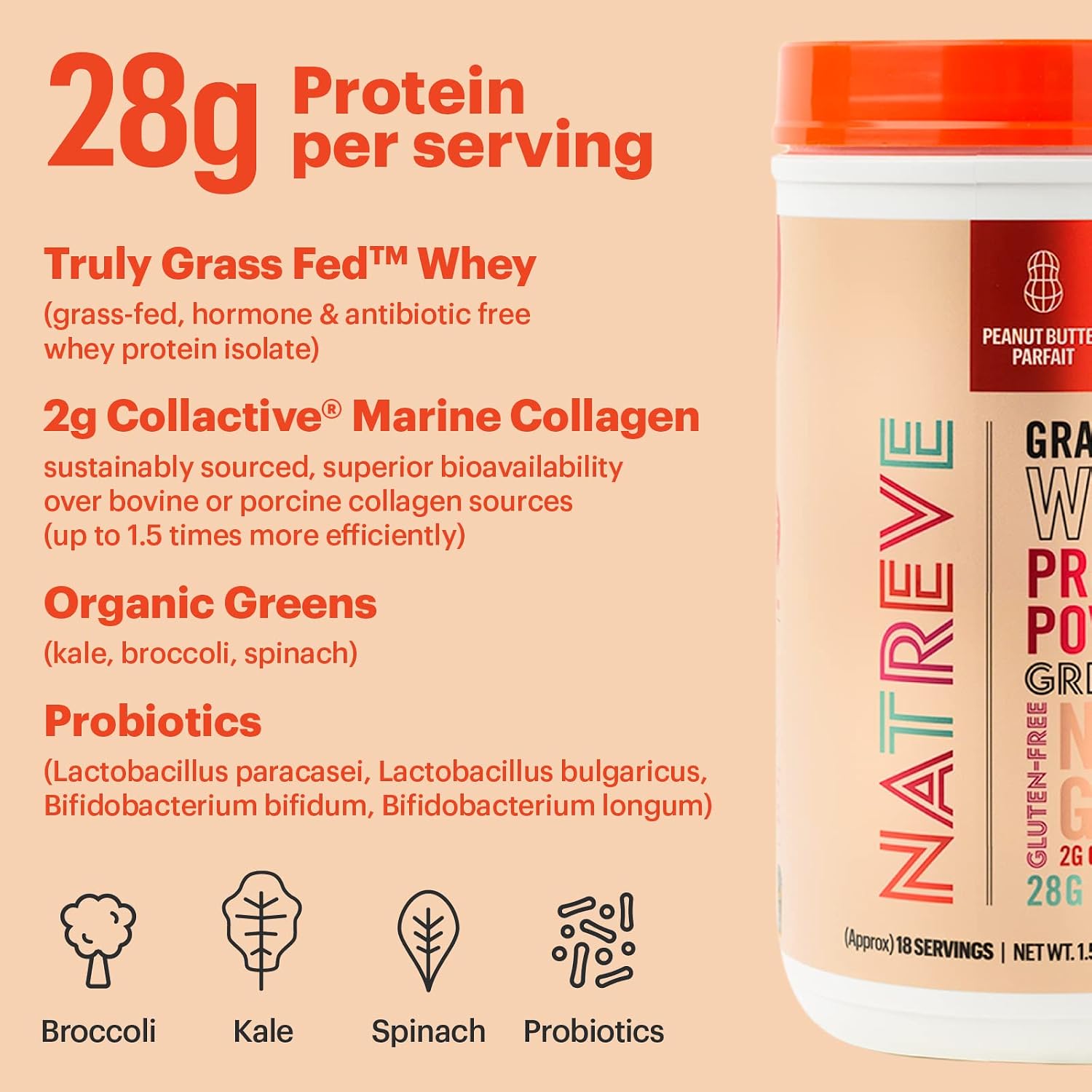 Natreve Whey Protein Powder - 28g Grass-Fed Whey Protein with Amino Acids, Probiotics & Collagen - Gluten Free Peanut Butter Parfait