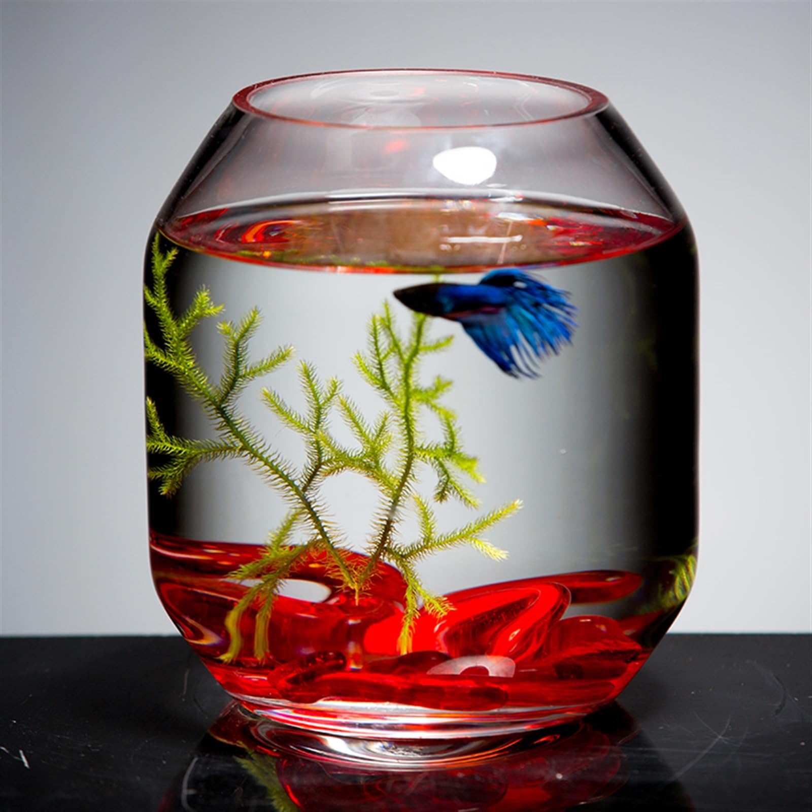 Boccia per pesci d'acquario Acquario for pesci in vetro trasparente for allevamento di piccoli Serbatoio for decorativo for soggiorno da tavolo Mini acquario