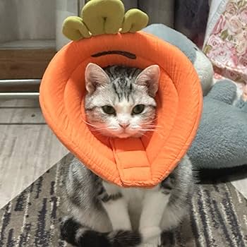 オレンジ エリザベスカラー S 犬 猫 エリザベスカラー オレンジS 首周り12〜20cm ソフト犬 傷