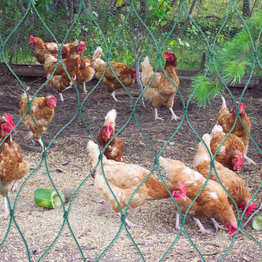 Filet pour volaille en maille de 5 cm avec 36 fils et nœuds solides - Filet pour poules - Clôture mobile (1,5 X 25m)