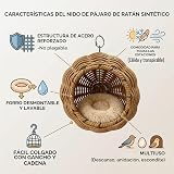 Ver la foto 3