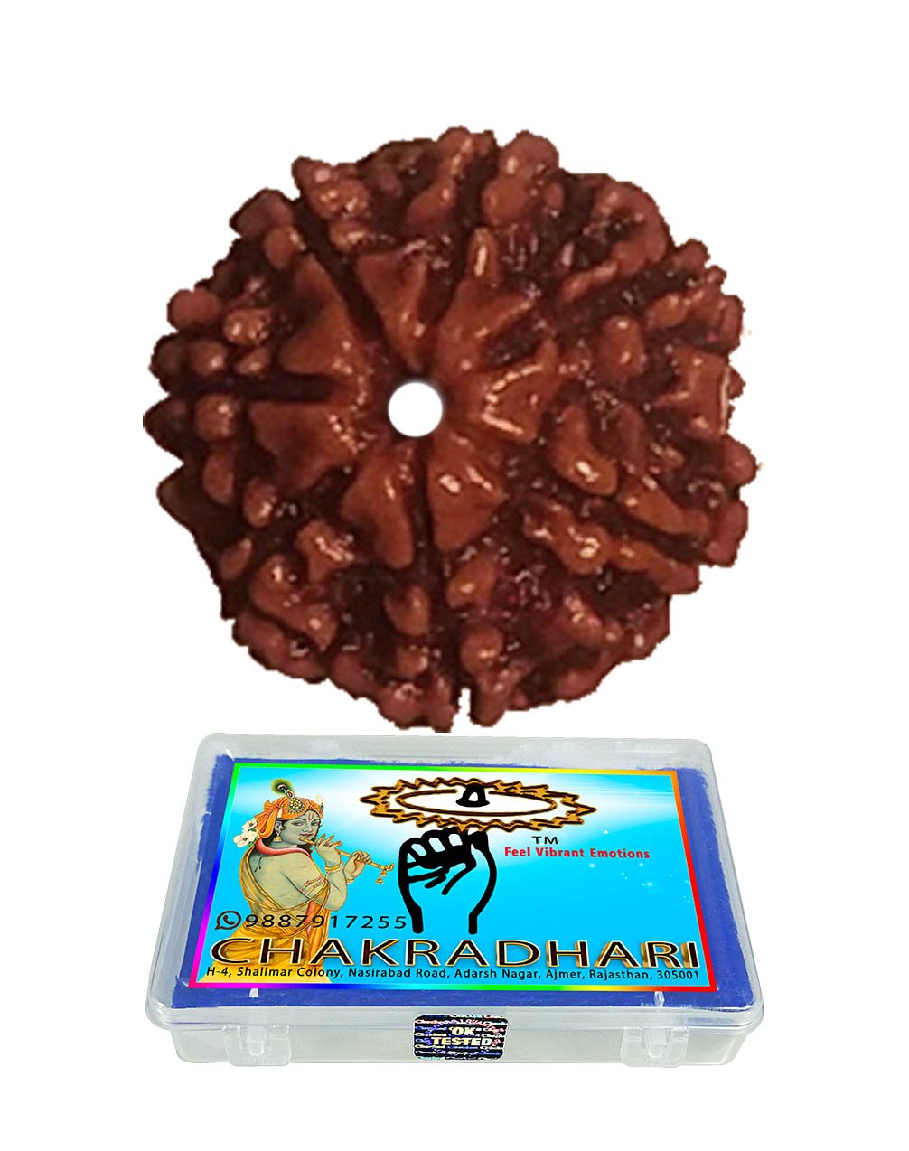 CHAKRADHARI 7 Face Rudraksha from Nepal (Brown_0.7 Inch X 0.5 Inch X 0.7 Inch) (B0797WLFYZ) Amazon Price History, Amazon Price Tracker
