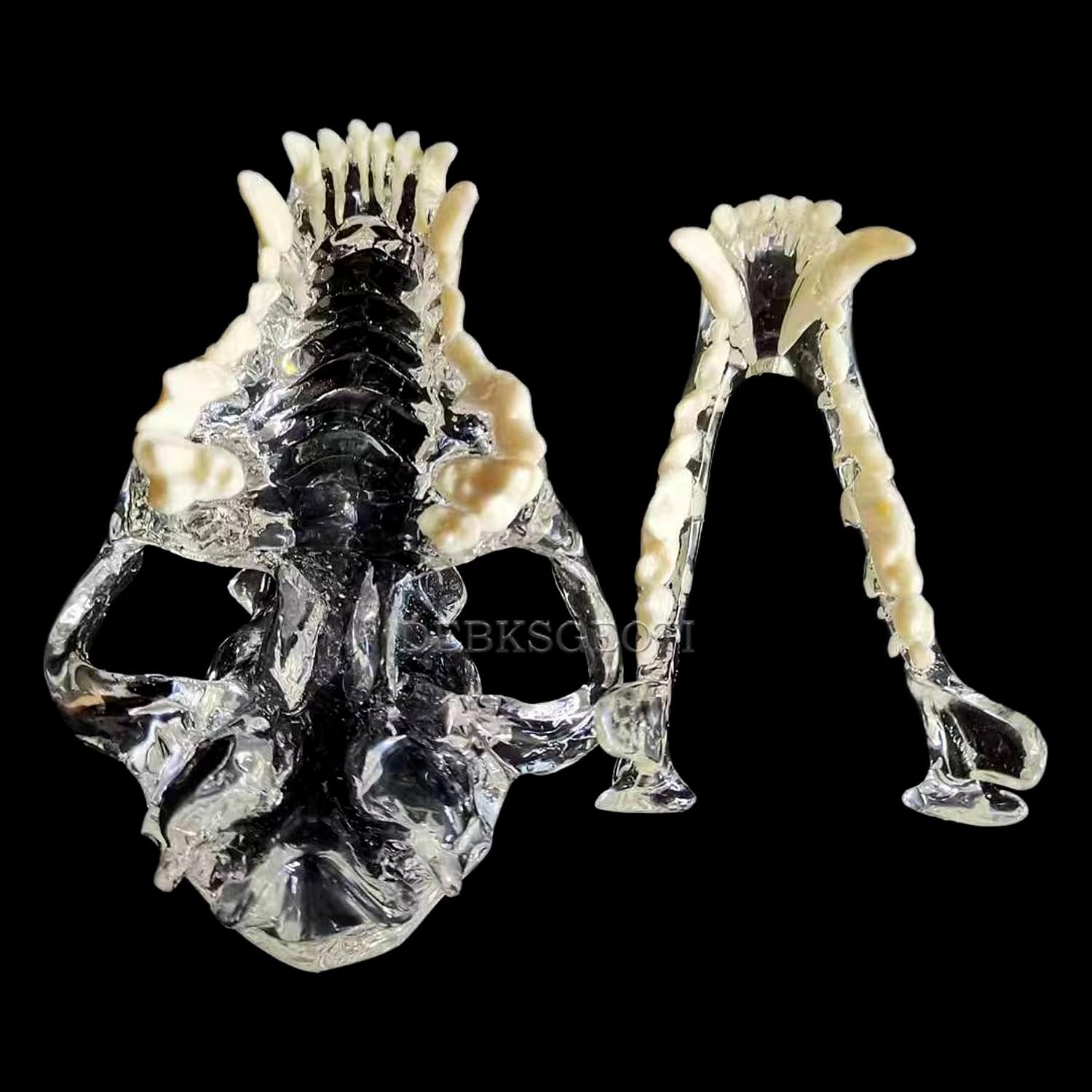 Canine Jaw Dental Model Canine Tooth Typodont Dog Skull Teeth Model Pet Clinic Anatomical Tooth Jaw for Canine Veterinary Education Decoration Demo