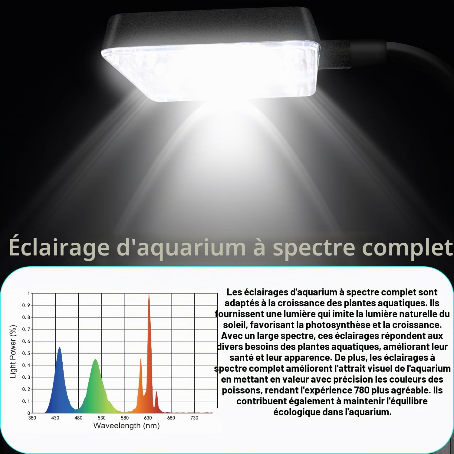Kit de démarrage en Verre pour Aquarium Betta Petit Aquarium avec lumière LED, Filtre d'alimentation, Noir. Verre de 4 mm
