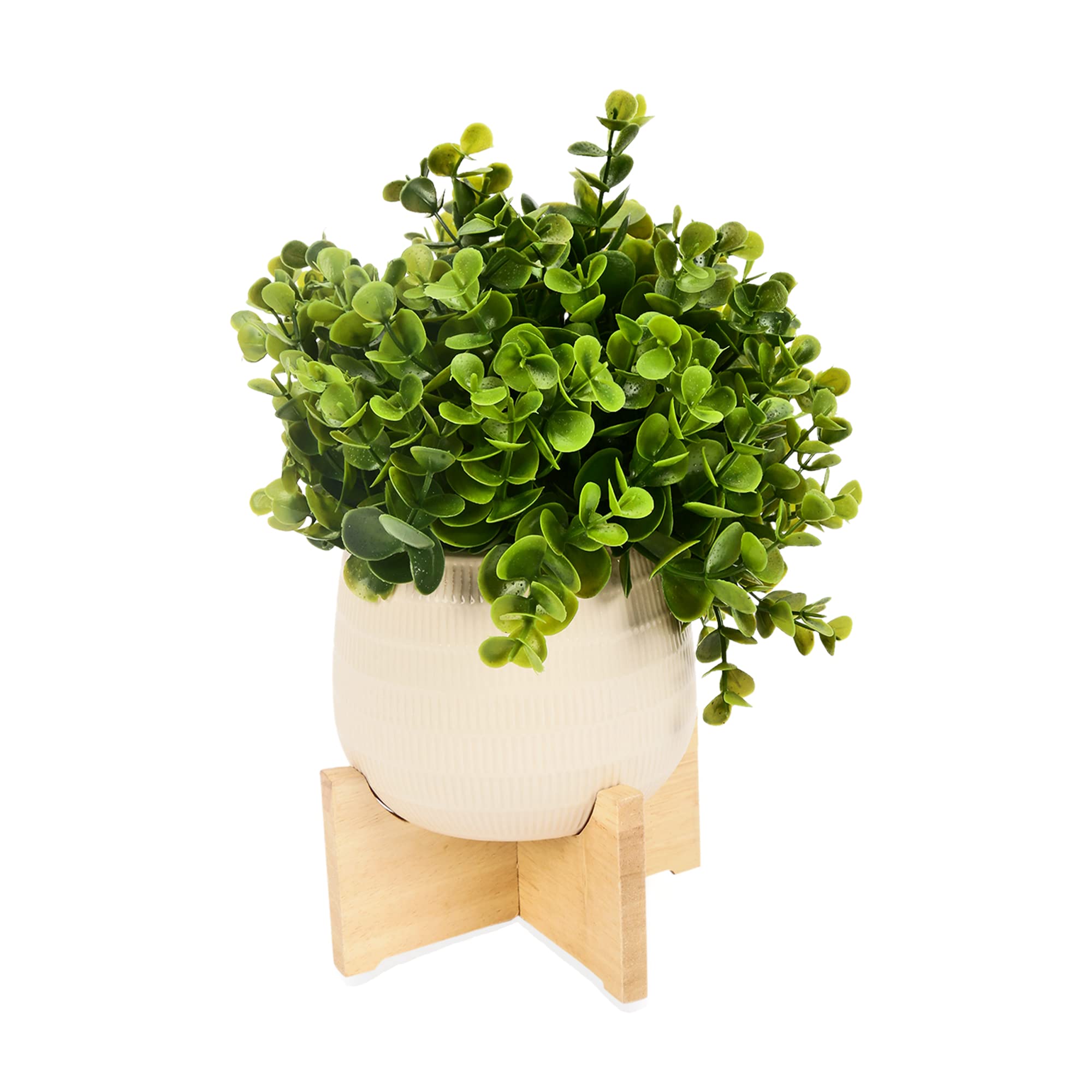 Anko Artificial Plant & Ceramic Pot with Wooden Stand | Decorative Item for Home, Office, Bedroom, Balcony, Living Room, Table Top | Natural Look Artificial Plant | Home Décor | Artificial Plant (B0C5DWHFLT) Amazon Price History, Amazon Price Tracker