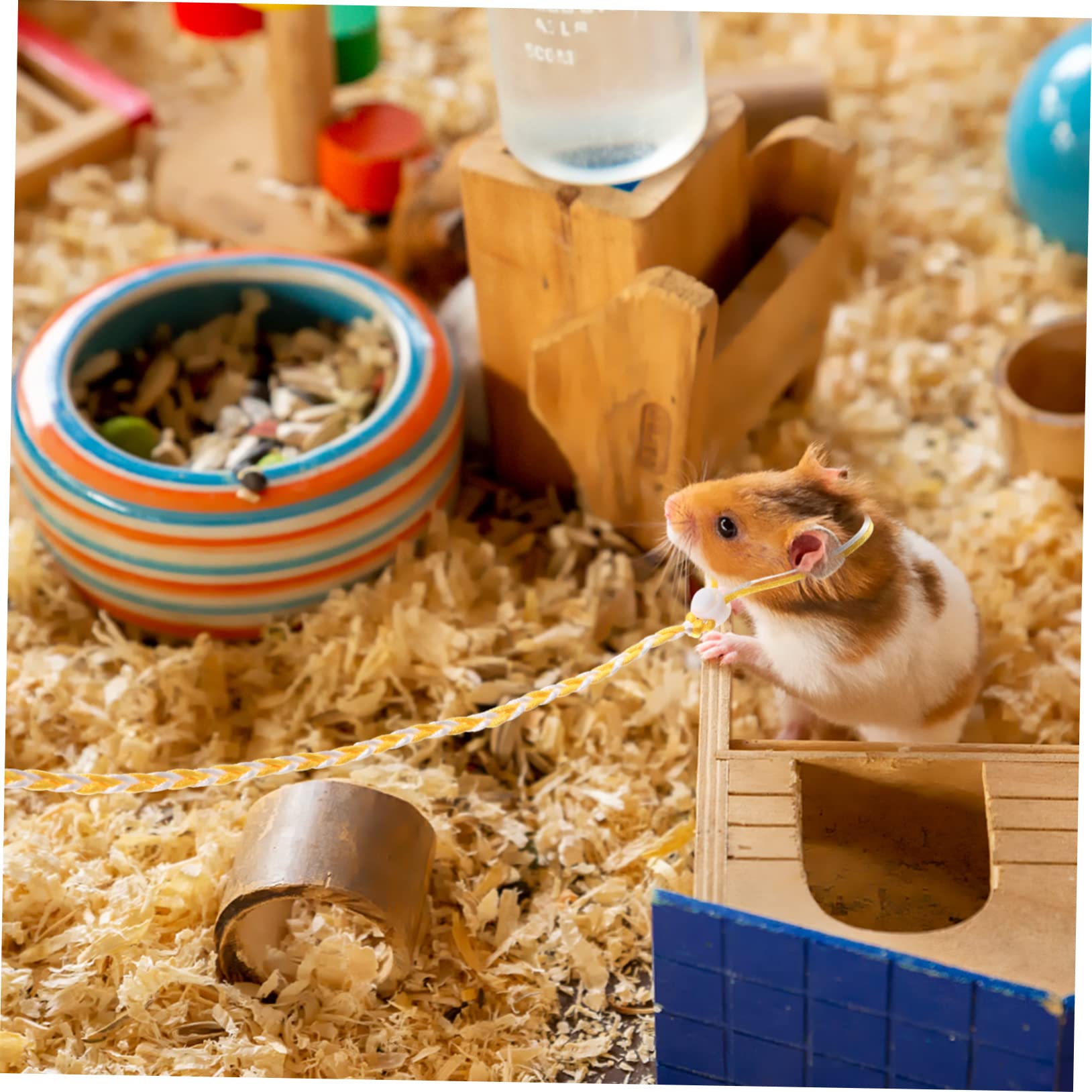 BESPORTBLE Outdoor Hamster Leash Set 3pcs Rabbit Traction Rope Squirrel Leading Rope Hamster Traction Guinea Walking Leash Random Color