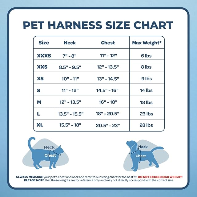 Foto 6 de 8 de Best Pet Supplies - Arnés de Malla para Todas Las Estaciones, Reflectante, para Perros pequeños/medianos…