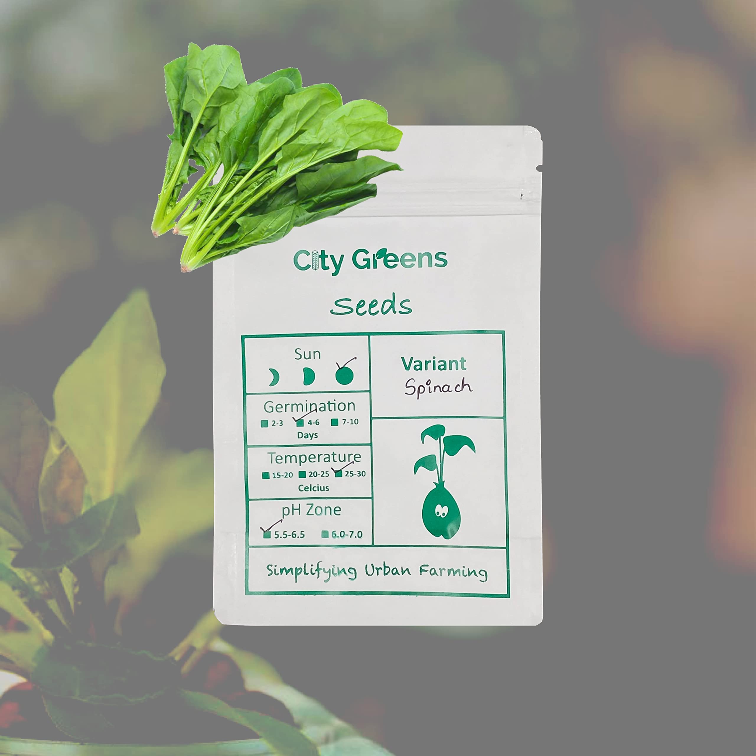 City Greens Spinach Vegetable Seed - 50 gm(5000 seeds) (B08JLQQPJJ) Amazon Price History, Amazon Price Tracker
