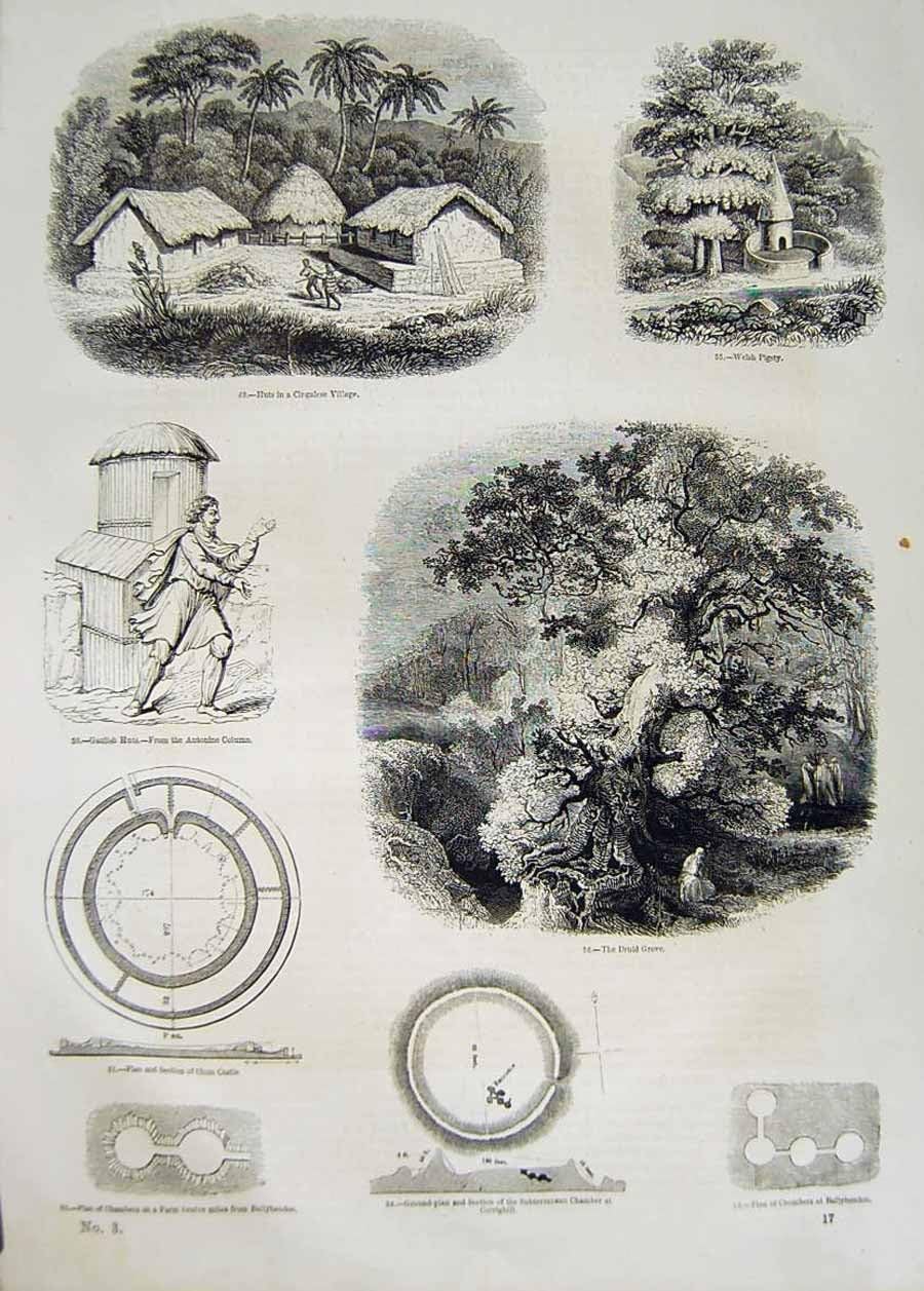 Amazon 1685 C10 のドルイド教司祭果樹園のウェールズの豚舎 Gaulish 小屋の Chun の城 アートワーク ポスター オンライン通販