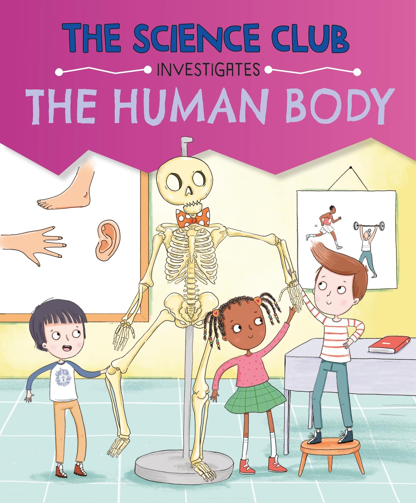 The Human Body