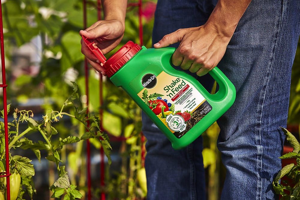 Miracle-Gro Shake 'N Feed Tomato, Fruit & Vegetable Plant Food, Plant Fertilizer, 4.5 lbs. : Everything Else