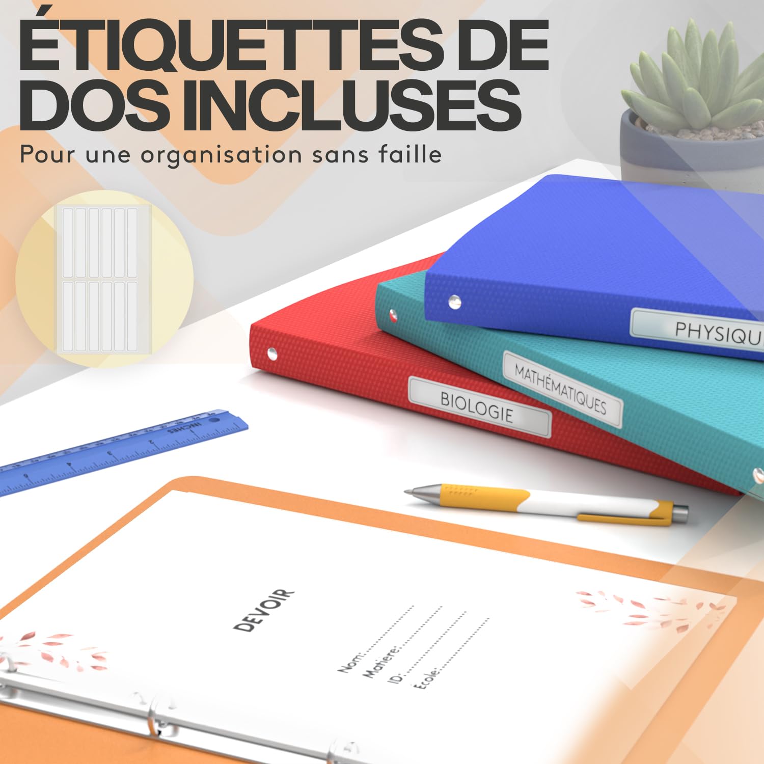 ACROPAQ - 10 x Classeur souple A4 | 4 anneaux | Avec étiquettes de dos, Dos de 2,5 cm, Couleur Arc-en-ciel de la collection Nature - Petit classeur plastique A4 souple, Classeurs 4 anneaux, Farde