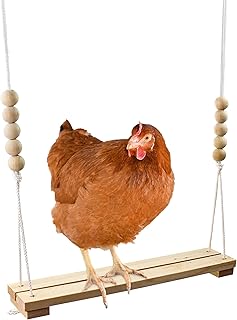 Chicken Swing Toy for Coop Handmade in USA!!! Natural Safe Wooden Accessories Large Durable Perch Ladder for Poultry Run Rooster Hens Chicks Pet Parrots Macaw Entertainment Stress Relief for Birds